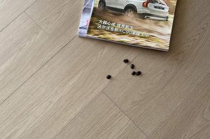 自然主义101