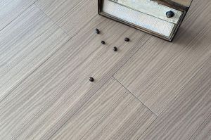 自然主义107